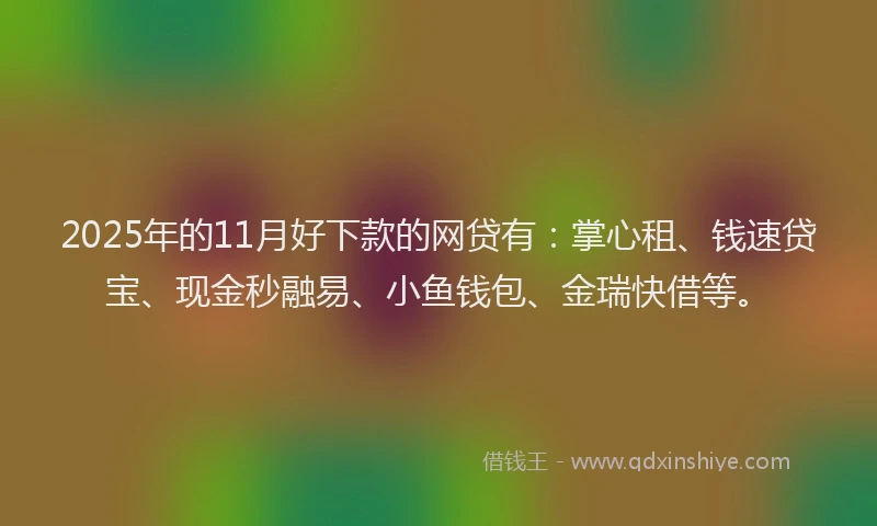 2025年的11月好下款的网贷有：掌心租、钱速贷宝、现金秒融易、小鱼钱包、金瑞快借等。