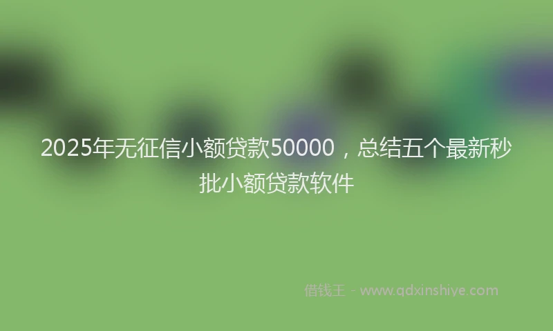 2025年无征信小额贷款50000，总结五个最新秒批小额贷款软件