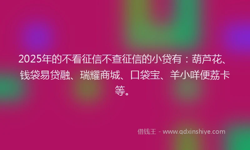 2025年的不看征信不查征信的小贷有：葫芦花、钱袋易贷融、瑞耀商城、口袋宝、羊小咩便荔卡等。