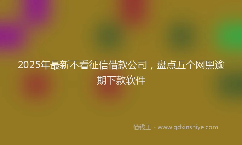 2025年最新不看征信借款公司，盘点五个网黑逾期下款软件