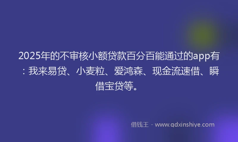 2025年的不审核小额贷款百分百能通过的app有：我来易贷、小麦粒、爱鸿森、现金流速借、瞬借宝贷等。