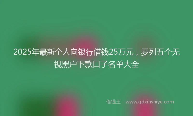 2025年最新个人向银行借钱25万元，罗列五个无视黑户下款口子名单大全