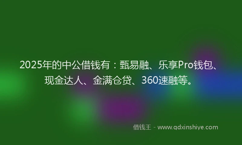 2025年的中公借钱有：甄易融、乐享Pro钱包、现金达人、金满仓贷、360速融等。