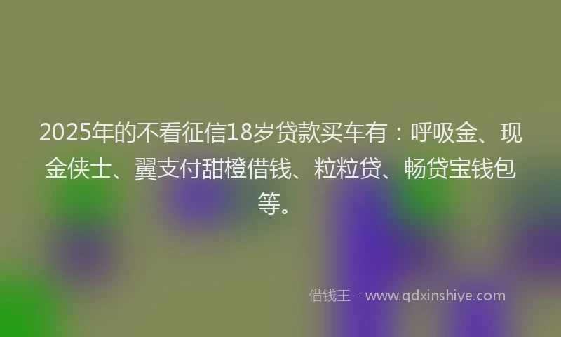 2025年的不看征信18岁贷款买车有：呼吸金、现金侠士、翼支付甜橙借钱、粒粒贷、畅贷宝钱包等。