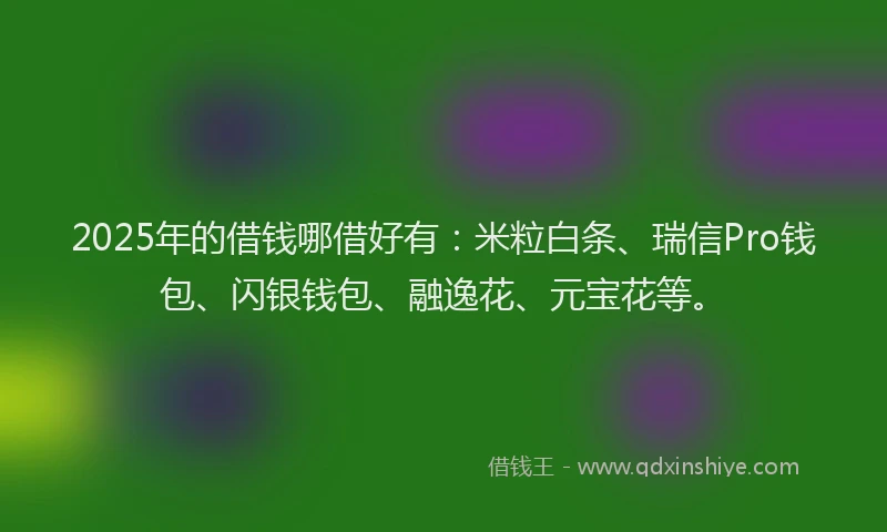 2025年的借钱哪借好有：米粒白条、瑞信Pro钱包、闪银钱包、融逸花、元宝花等。