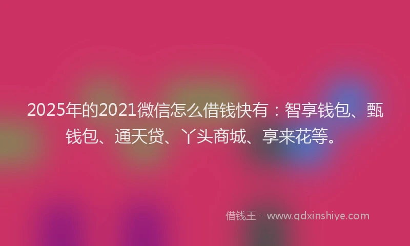 2025年的2021微信怎么借钱快有：智享钱包、甄钱包、通天贷、丫头商城、享来花等。