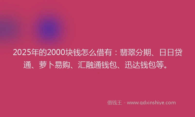 2025年的2000块钱怎么借有：翡翠分期、日日贷通、萝卜易购、汇融通钱包、迅达钱包等。
