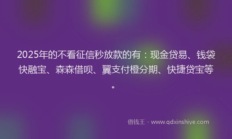 2025年的不看征信秒放款的有：现金贷易、钱袋快融宝、森森借呗、翼支付橙分期、快捷贷宝等。