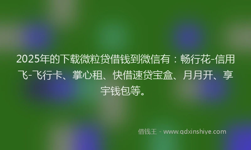 2025年的下载微粒贷借钱到微信有：畅行花-信用飞-飞行卡、掌心租、快借速贷宝盒、月月开、享宇钱包等。