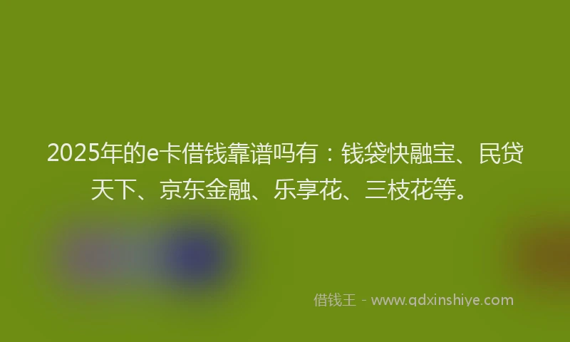 2025年的e卡借钱靠谱吗有：钱袋快融宝、民贷天下、京东金融、乐享花、三枝花等。