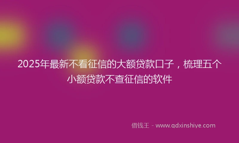 2025年最新不看征信的大额贷款口子，梳理五个小额贷款不查征信的软件