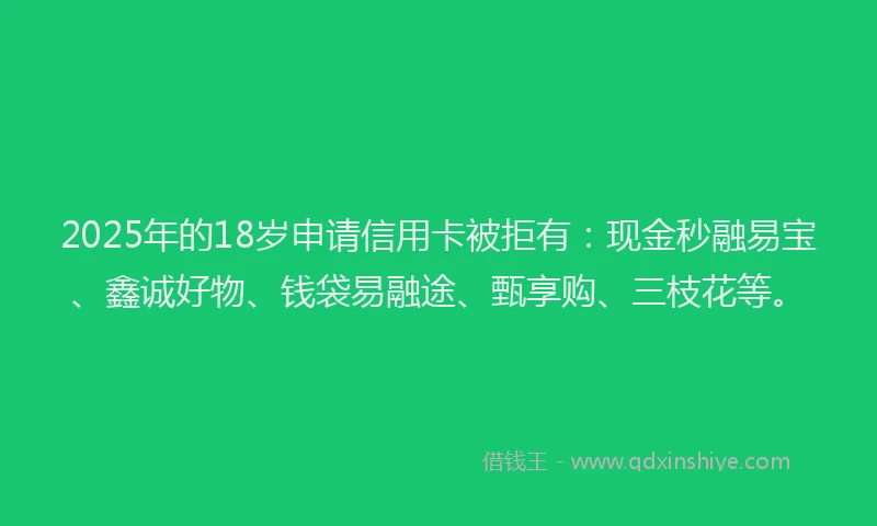 2025年的18岁申请信用卡被拒有：现金秒融易宝、鑫诚好物、钱袋易融途、甄享购、三枝花等。