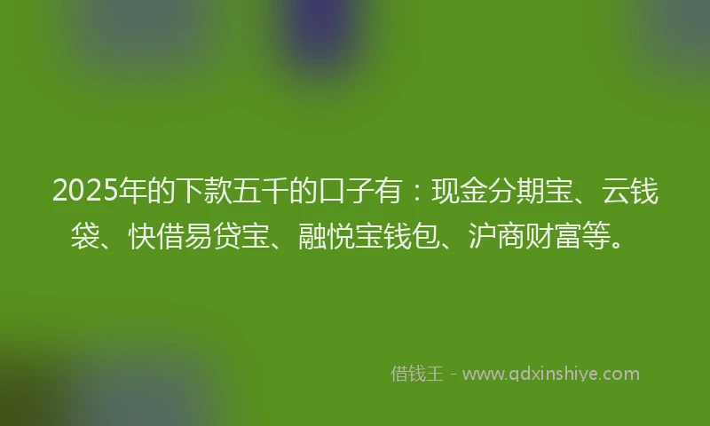 2025年的下款五千的口子有：现金分期宝、云钱袋、快借易贷宝、融悦宝钱包、沪商财富等。