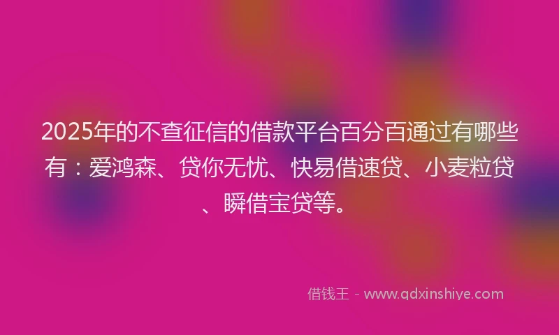 2025年的不查征信的借款平台百分百通过有哪些有：爱鸿森、贷你无忧、快易借速贷、小麦粒贷、瞬借宝贷等。