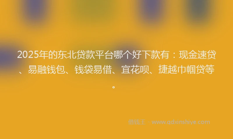 2025年的东北贷款平台哪个好下款有：现金速贷、易融钱包、钱袋易借、宜花呗、捷越巾帼贷等。