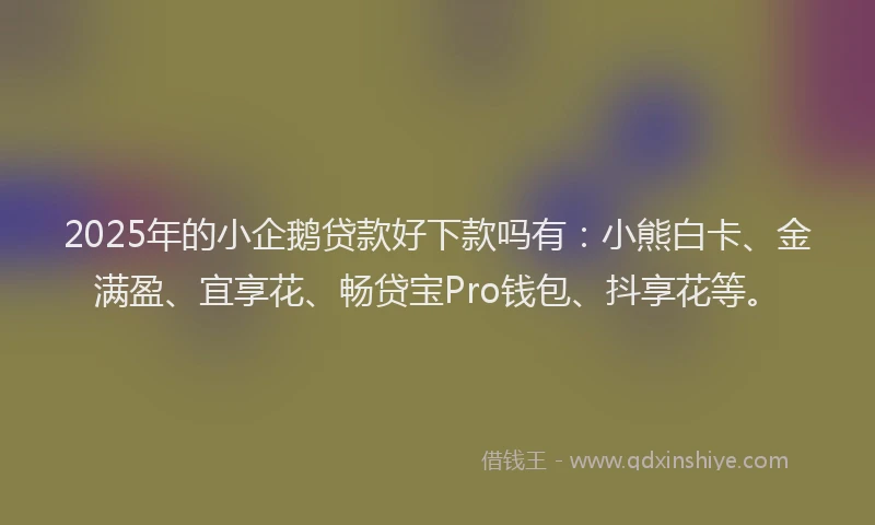 2025年的小企鹅贷款好下款吗有：小熊白卡、金满盈、宜享花、畅贷宝Pro钱包、抖享花等。