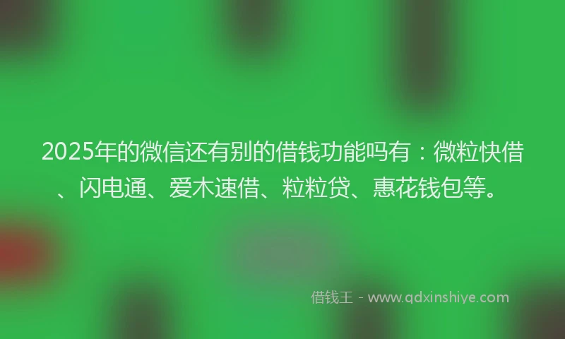 2025年的微信还有别的借钱功能吗有：微粒快借、闪电通、爱木速借、粒粒贷、惠花钱包等。