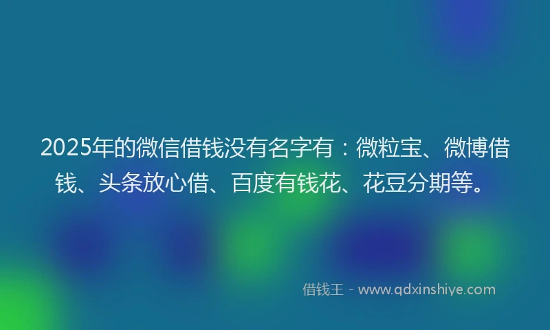 2025年的微信借钱没有名字有：微粒宝、微博借钱、头条放心借、百度有钱花、花豆分期等。