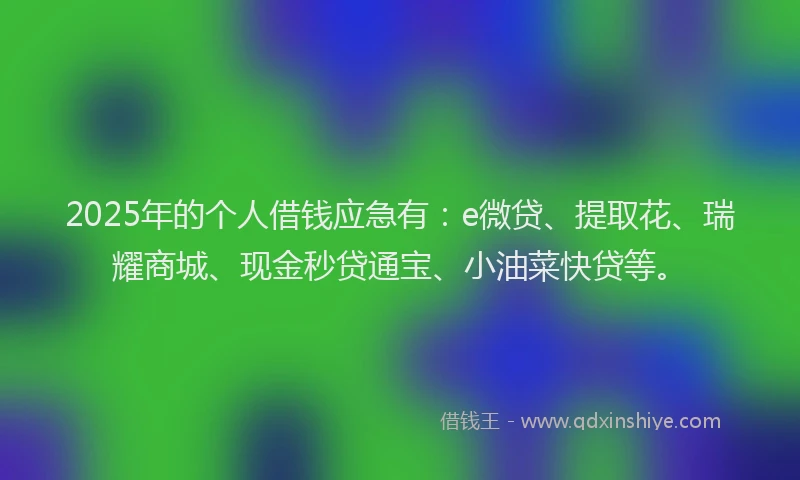 2025年的个人借钱应急有：e微贷、提取花、瑞耀商城、现金秒贷通宝、小油菜快贷等。