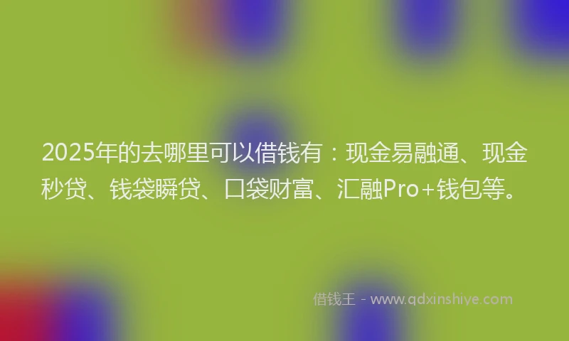 2025年的去哪里可以借钱有：现金易融通、现金秒贷、钱袋瞬贷、口袋财富、汇融Pro+钱包等。