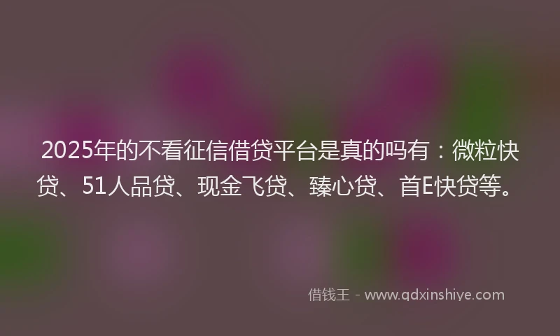 2025年的不看征信借贷平台是真的吗有：微粒快贷、51人品贷、现金飞贷、臻心贷、首E快贷等。