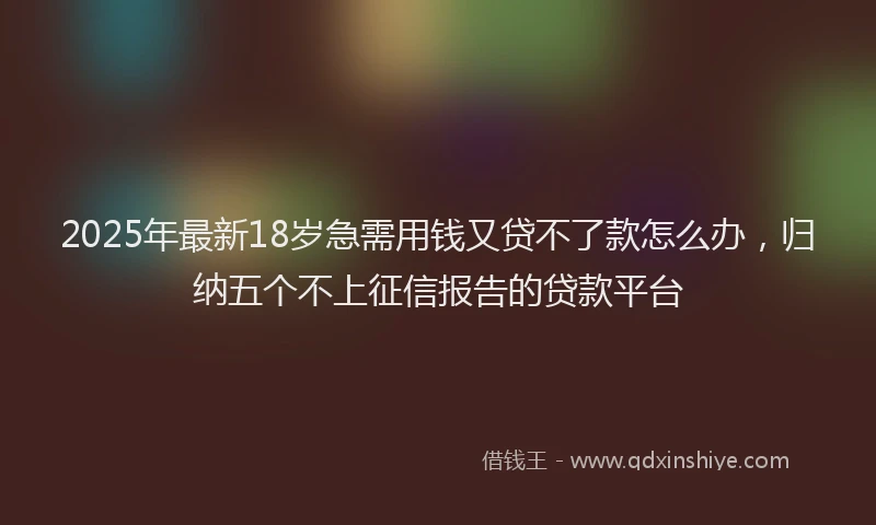2025年最新18岁急需用钱又贷不了款怎么办，归纳五个不上征信报告的贷款平台