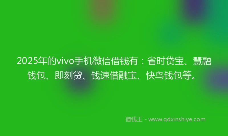 2025年的vivo手机微信借钱有：省时贷宝、慧融钱包、即刻贷、钱速借融宝、快鸟钱包等。