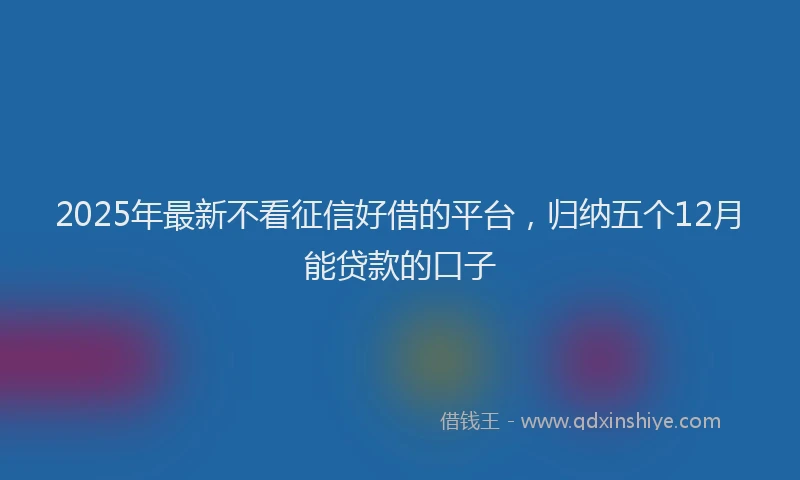 2025年最新不看征信好借的平台，归纳五个12月能贷款的口子