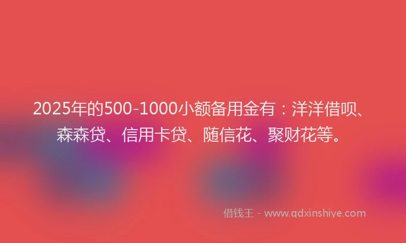 2025年的500-1000小额备用金有：洋洋借呗、森森贷、信用卡贷、随信花、聚财花等。