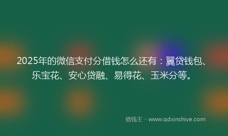 2025年的微信支付分借钱怎么还有：翼贷钱包、乐宝花、安心贷融、易得花、玉米分等。
