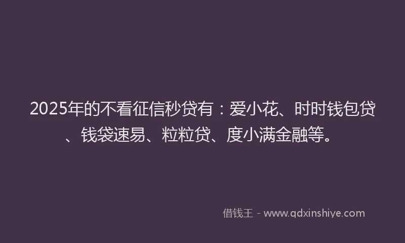 2025年的不看征信秒贷有：爱小花、时时钱包贷、钱袋速易、粒粒贷、度小满金融等。