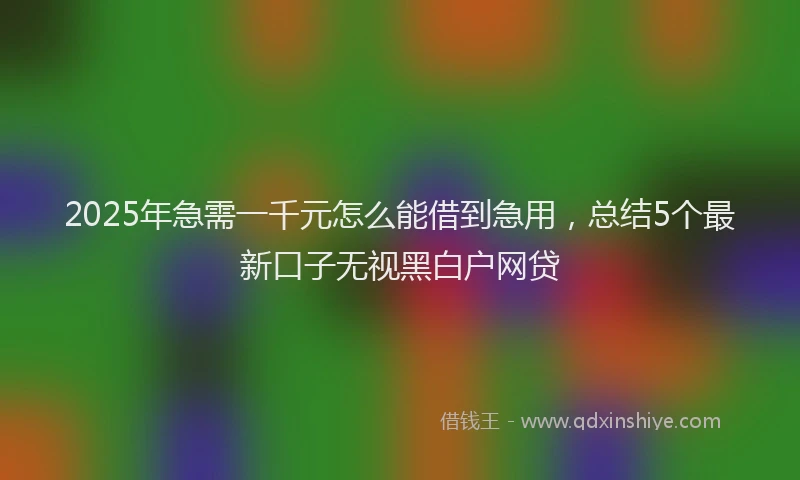 2025年急需一千元怎么能借到急用，总结5个最新口子无视黑白户网贷