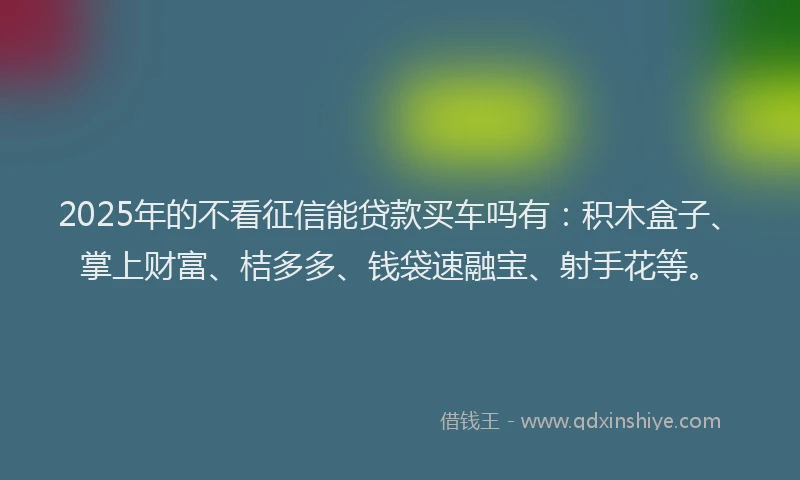 2025年的不看征信能贷款买车吗有：积木盒子、掌上财富、桔多多、钱袋速融宝、射手花等。