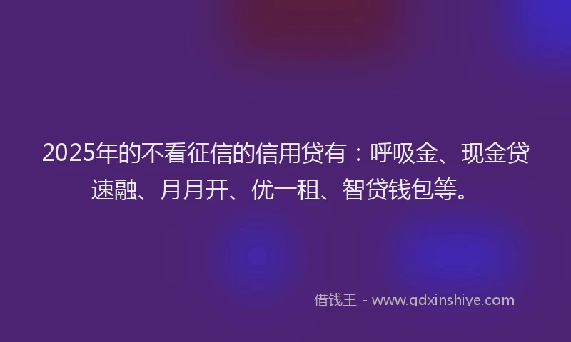 2025年的不看征信的信用贷有：呼吸金、现金贷速融、月月开、优一租、智贷钱包等。