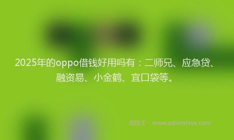 2025年的oppo借钱好用吗有：二师兄、应急贷、融资易、小金鹤、宜口袋等。