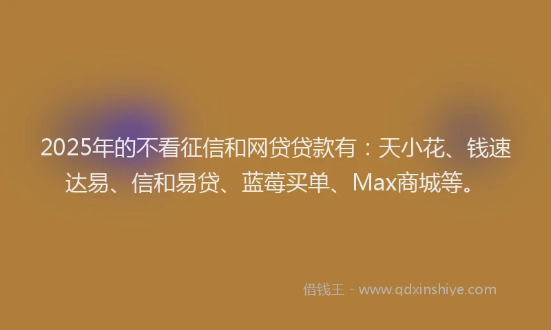 2025年的不看征信和网贷贷款有：天小花、钱速达易、信和易贷、蓝莓买单、Max商城等。