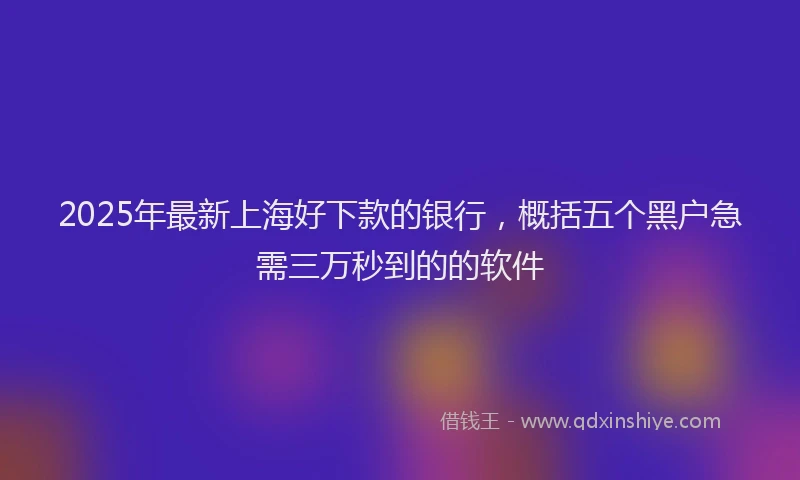 2025年最新上海好下款的银行，概括五个黑户急需三万秒到的的软件