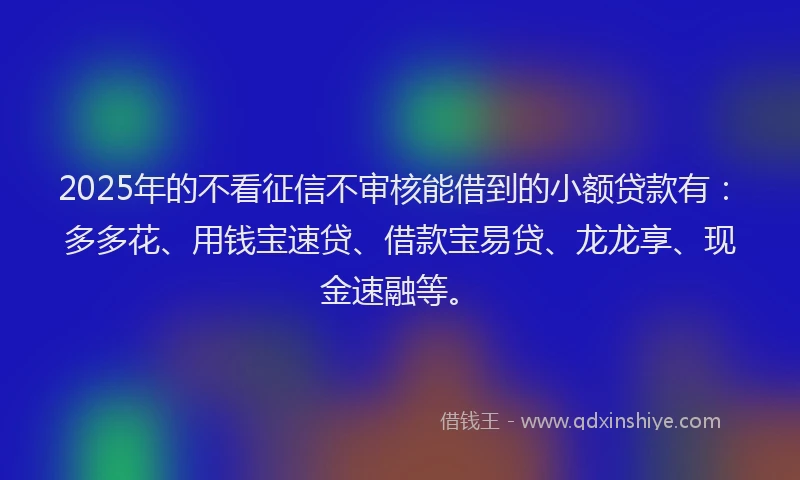 2025年的不看征信不审核能借到的小额贷款有：多多花、用钱宝速贷、借款宝易贷、龙龙享、现金速融等。