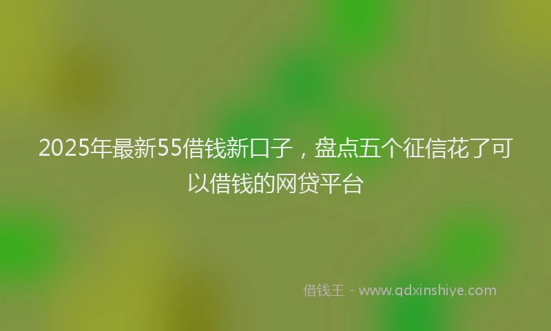 2025年最新55借钱新口子，盘点五个征信花了可以借钱的网贷平台