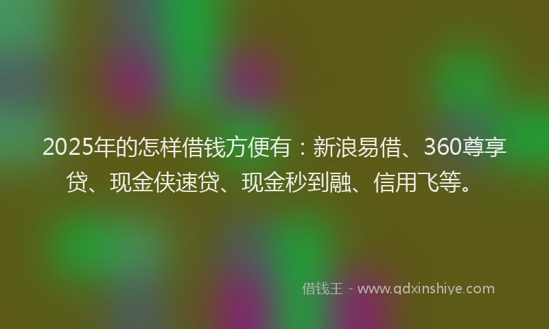 2025年的怎样借钱方便有：新浪易借、360尊享贷、现金侠速贷、现金秒到融、信用飞等。