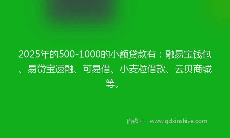 2025年的500-1000的小额贷款有：融易宝钱包、易贷宝速融、可易借、小麦粒借款、云贝商城等。