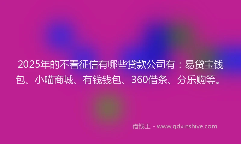 2025年的不看征信有哪些贷款公司有：易贷宝钱包、小喵商城、有钱钱包、360借条、分乐购等。