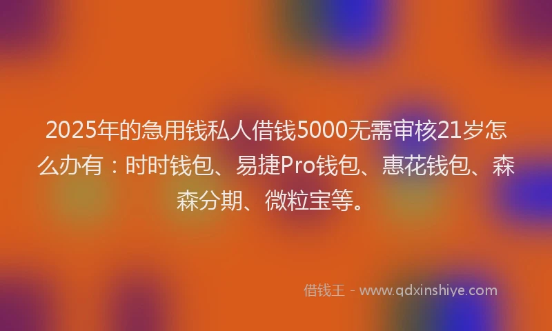 2025年的急用钱私人借钱5000无需审核21岁怎么办有：时时钱包、易捷Pro钱包、惠花钱包、森森分期、微粒宝等。