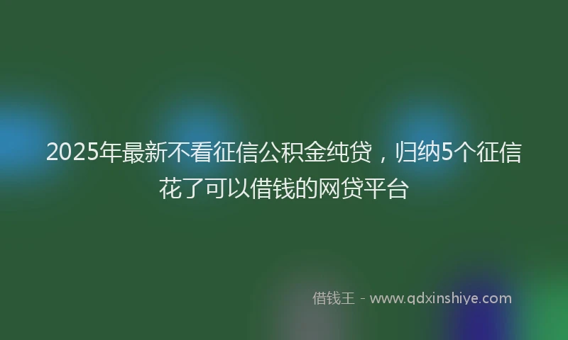 2025年最新不看征信公积金纯贷，归纳5个征信花了可以借钱的网贷平台
