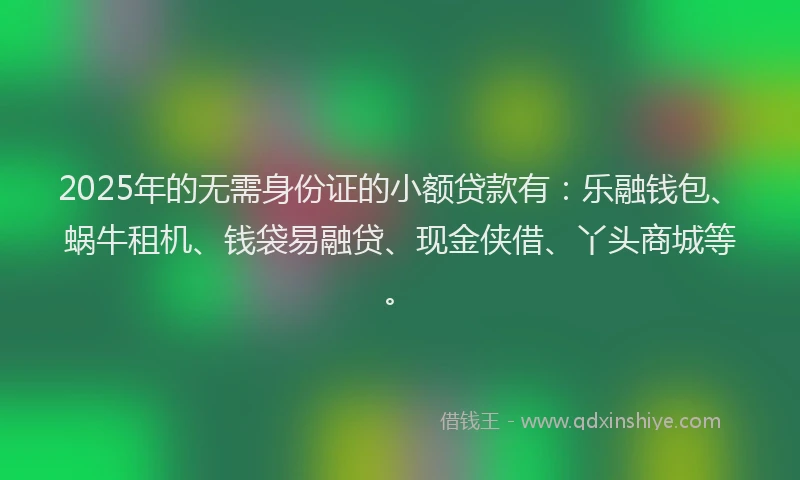 2025年的无需身份证的小额贷款有：乐融钱包、蜗牛租机、钱袋易融贷、现金侠借、丫头商城等。