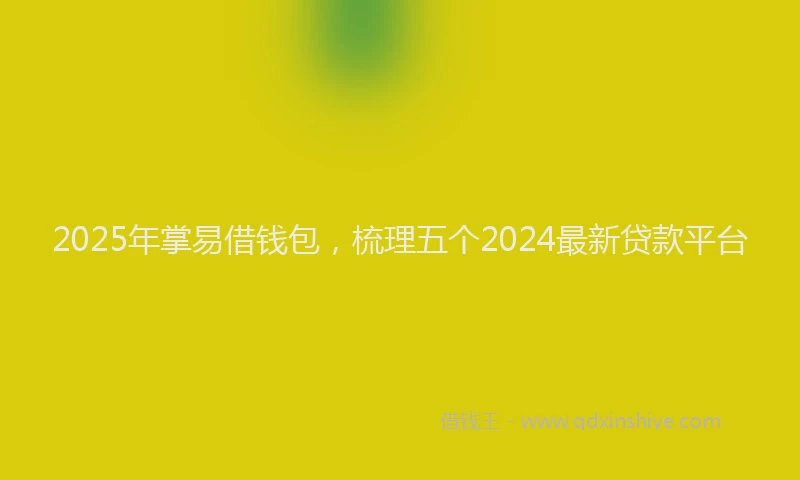 2025年掌易借钱包，梳理五个2024最新贷款平台