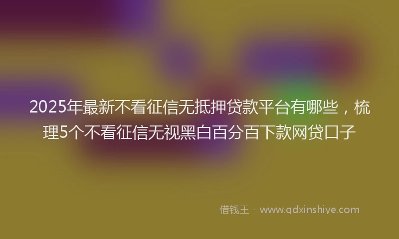 2025年最新不看征信无抵押贷款平台有哪些，梳理5个不看征信无视黑白百分百下款网贷口子