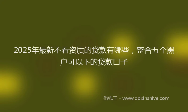 2025年最新不看资质的贷款有哪些，整合五个黑户可以下的贷款口子