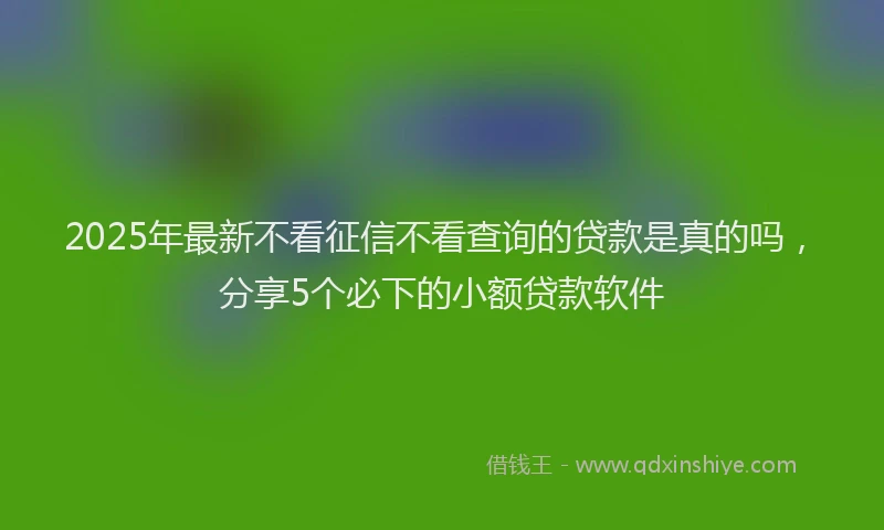 2025年最新不看征信不看查询的贷款是真的吗，分享5个必下的小额贷款软件