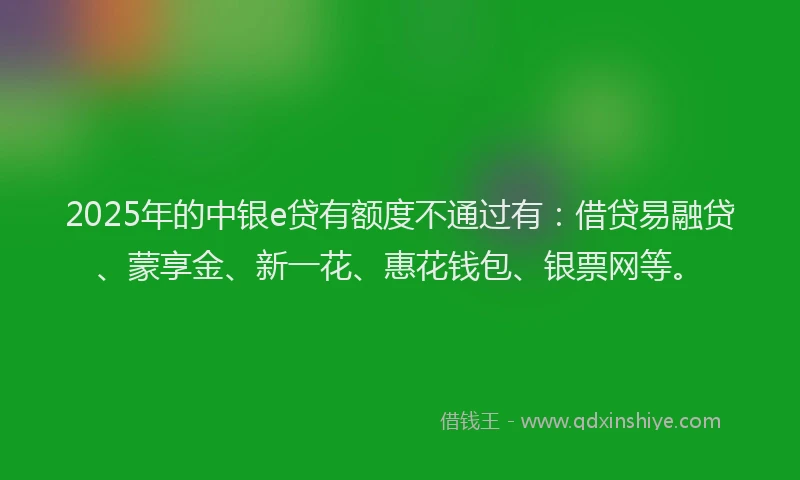 2025年的中银e贷有额度不通过有：借贷易融贷、蒙享金、新一花、惠花钱包、银票网等。